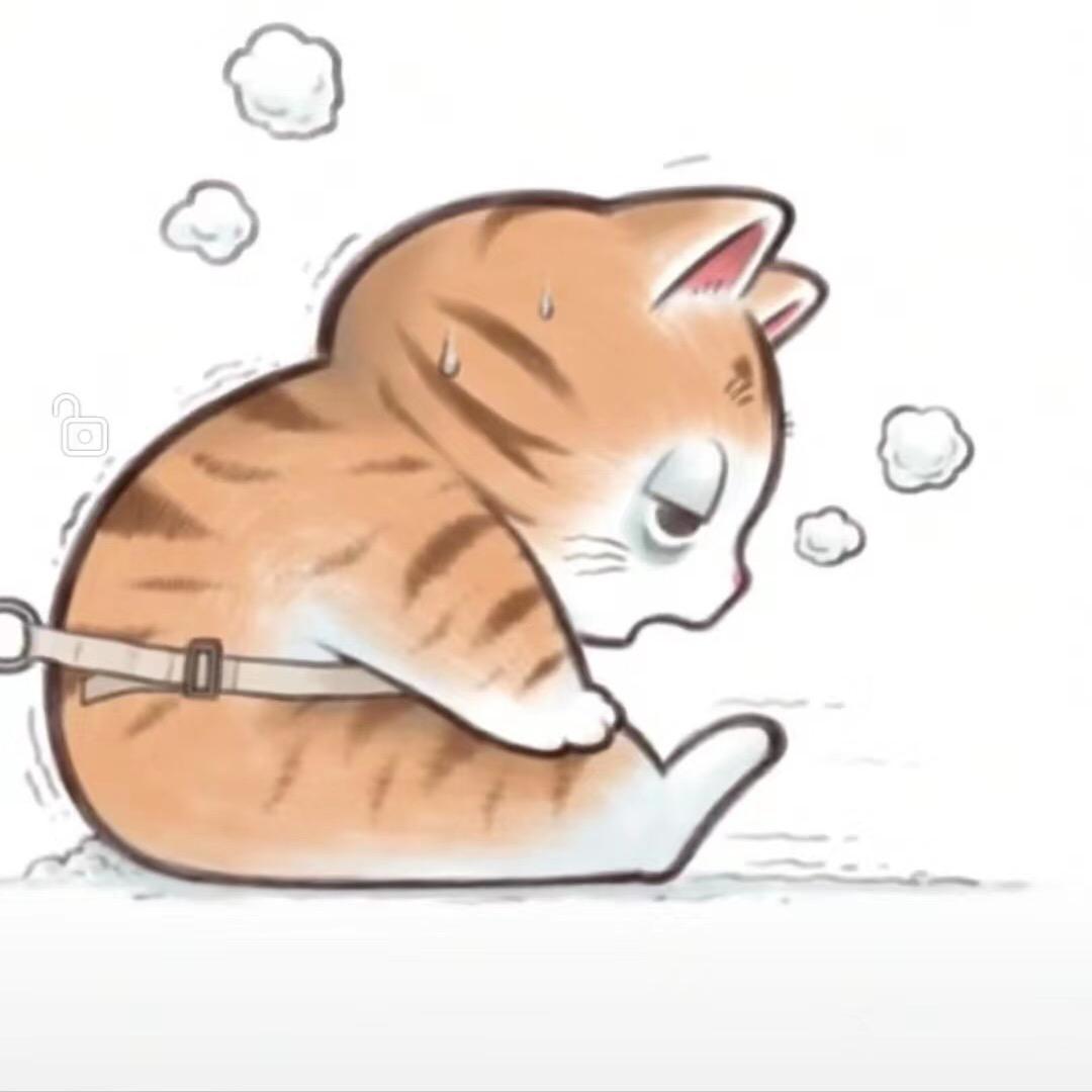 蔡先森