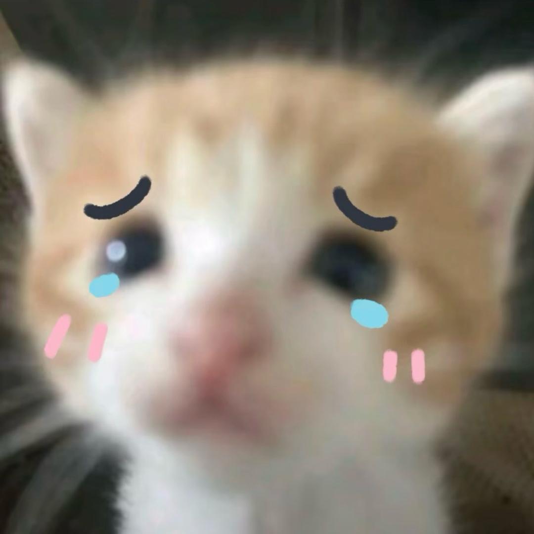 我肚肚逼人