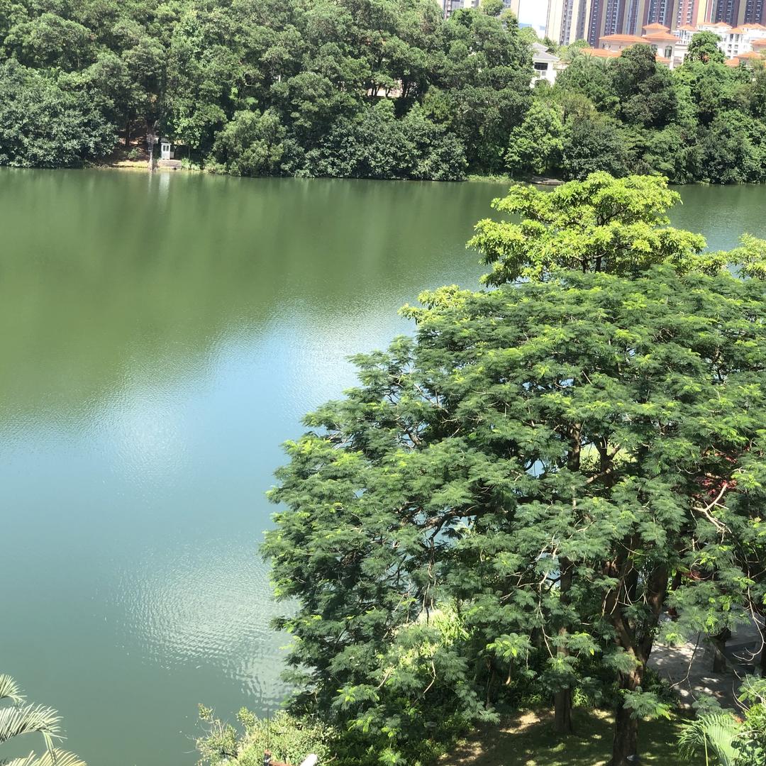 深圳宏帆房产