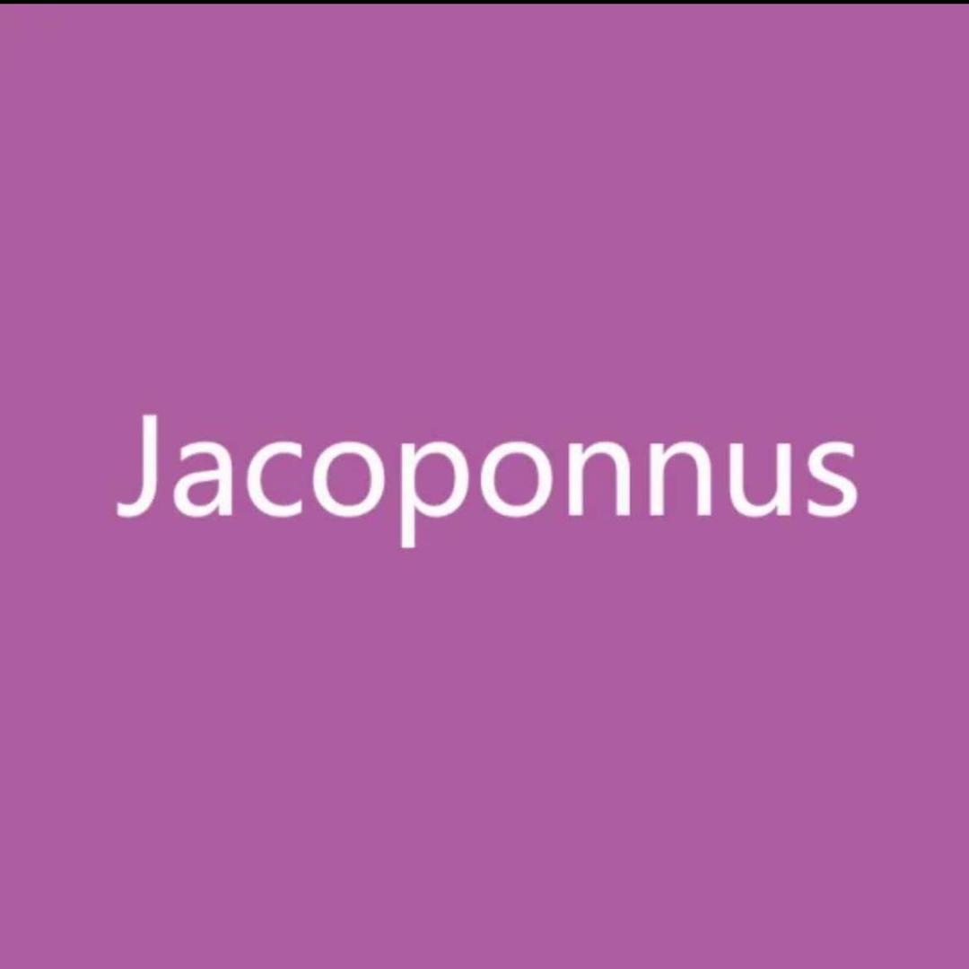 JACOPONNUS官方旗舰店