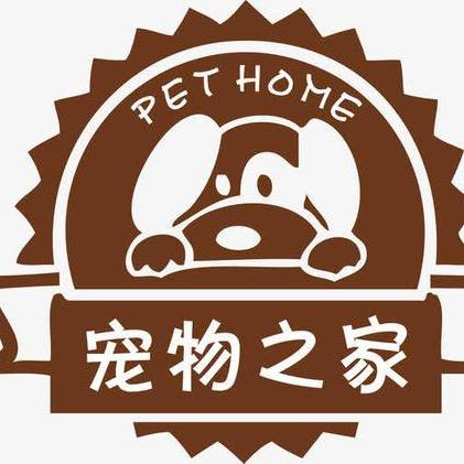 一只疯狂的黄鸭