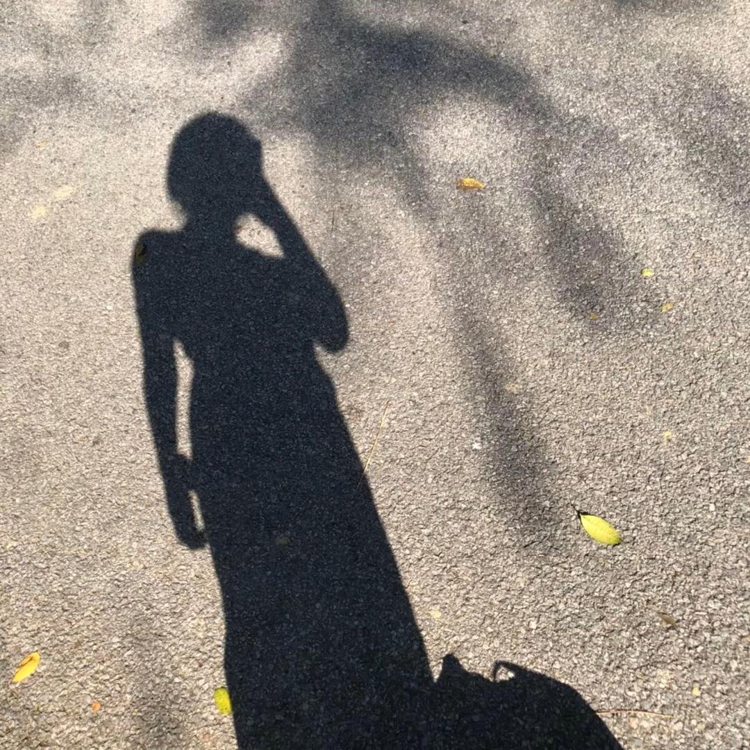 ◡̈向日葵🌻