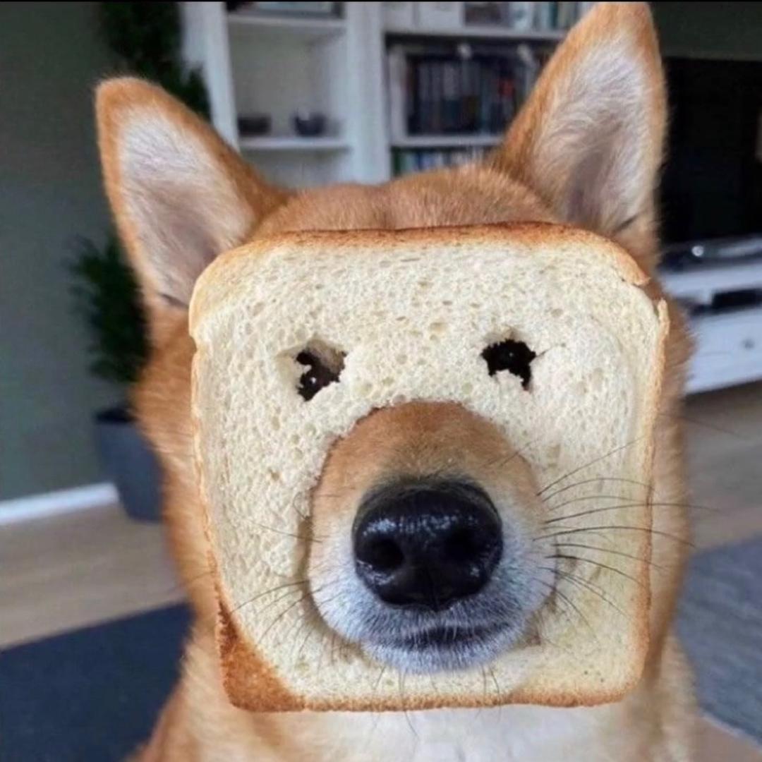 一个有趣的人。