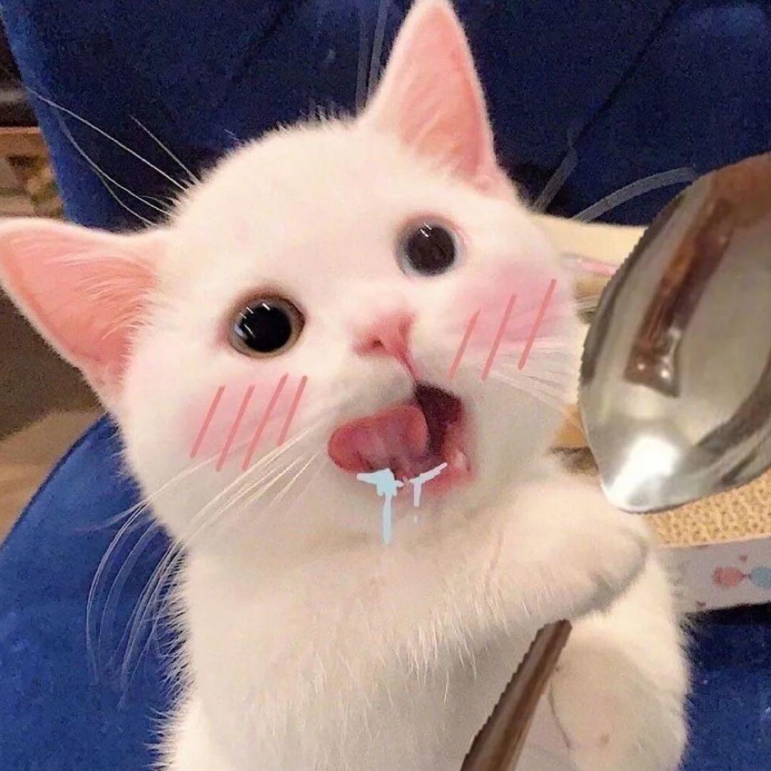 桂宝大王🧸