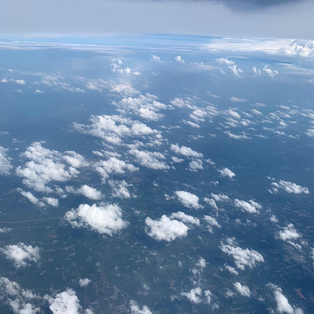 彩虹🌈小白马🦄