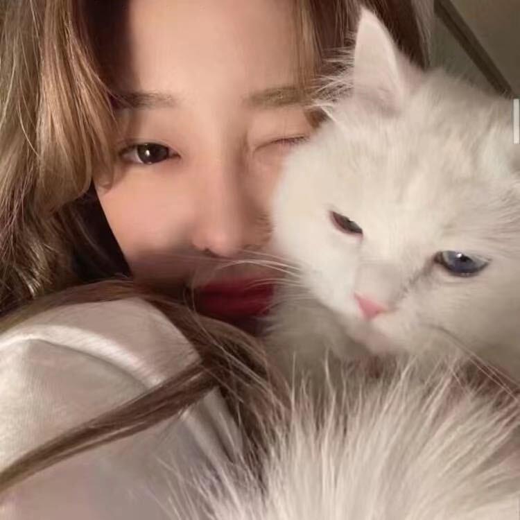 圆禾-