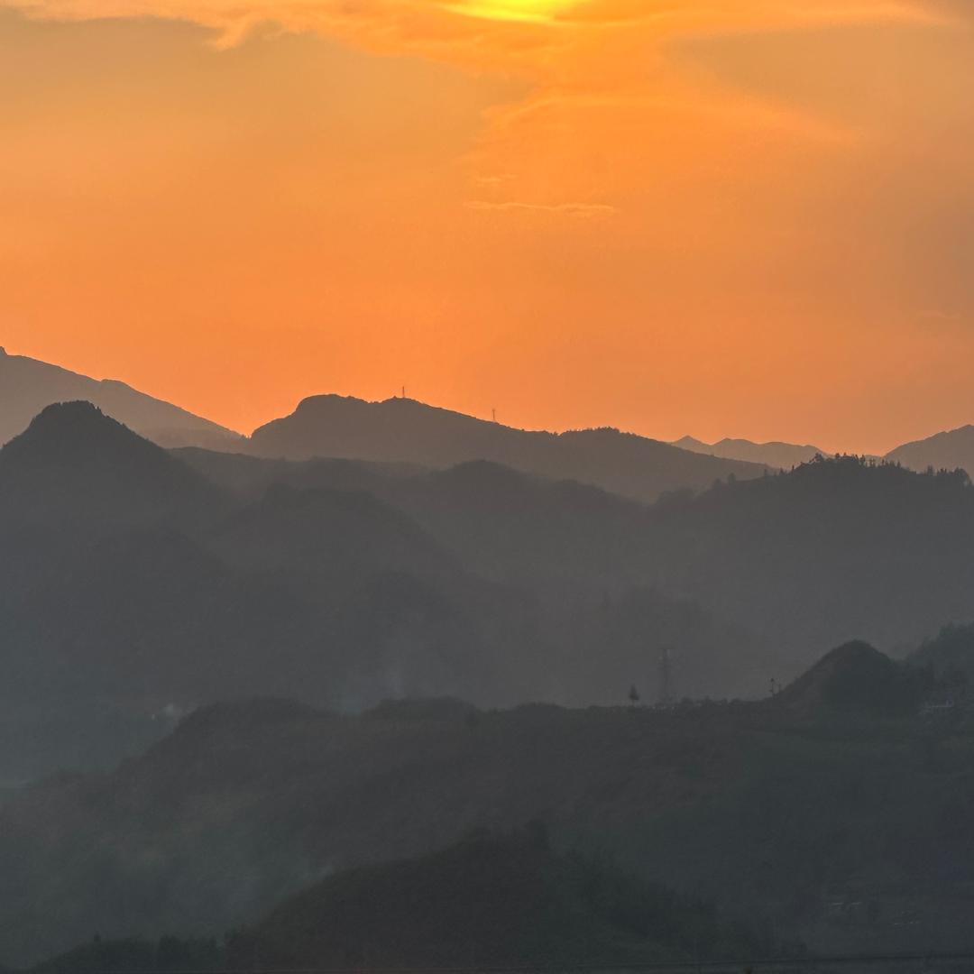出山人•岑子