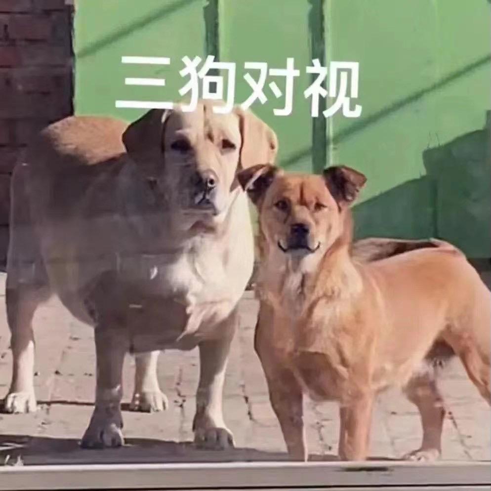 何必