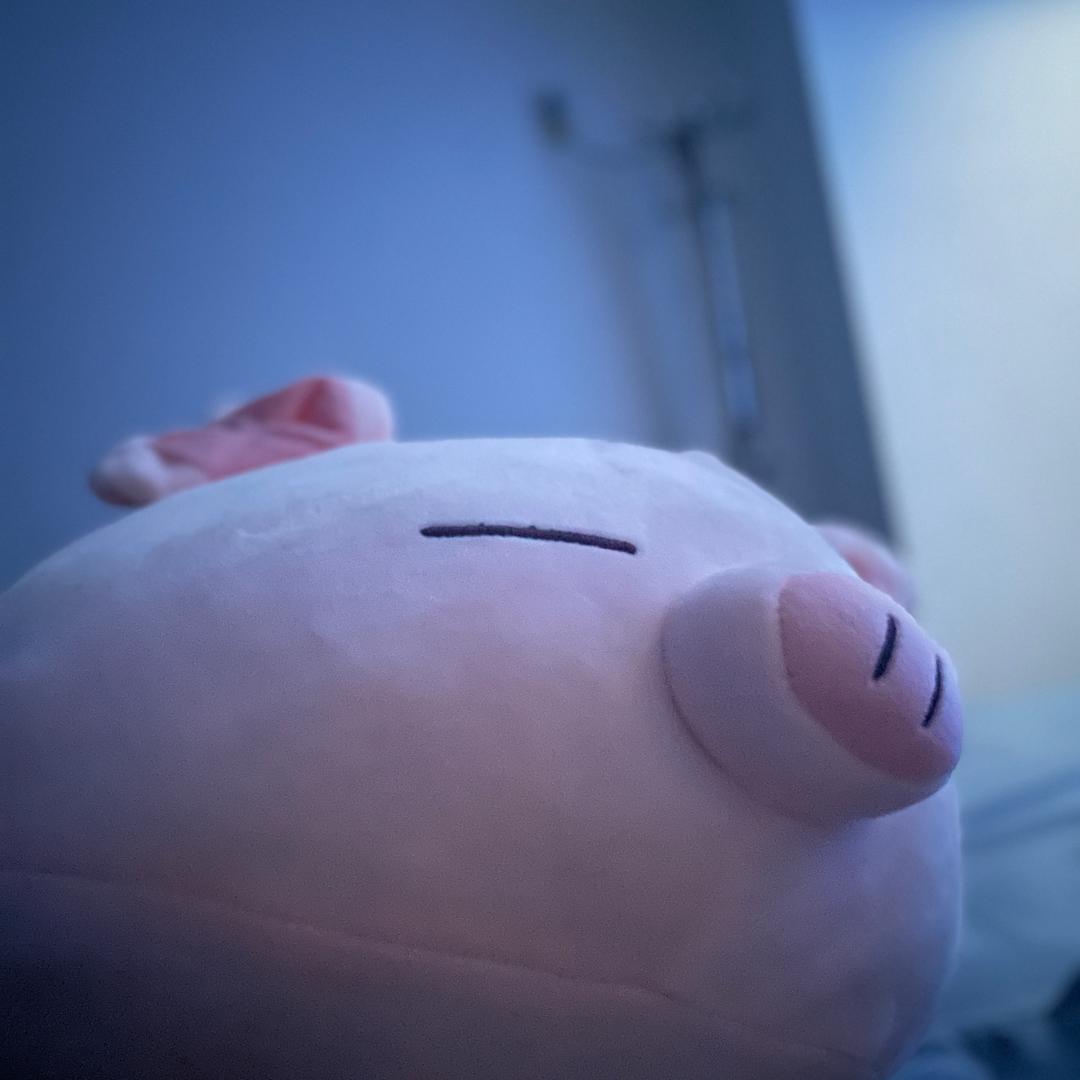 小许生活臻选阁