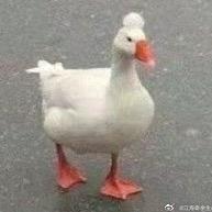 女朋友老断火花