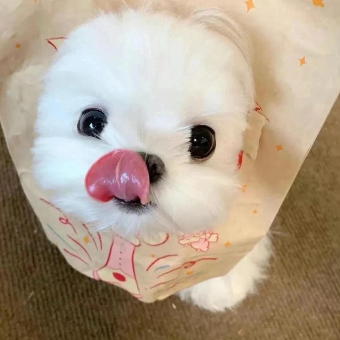 十万年魂环