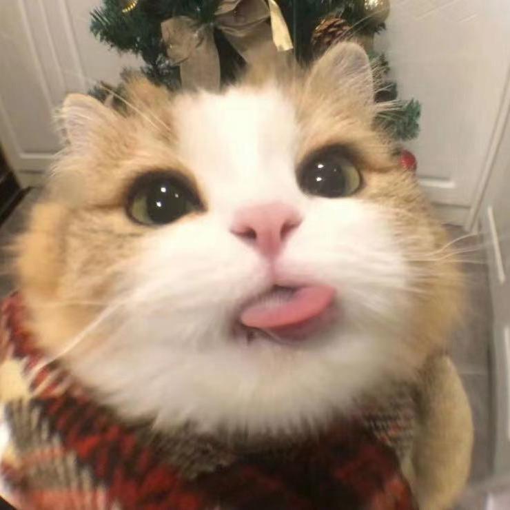 小软小绵_