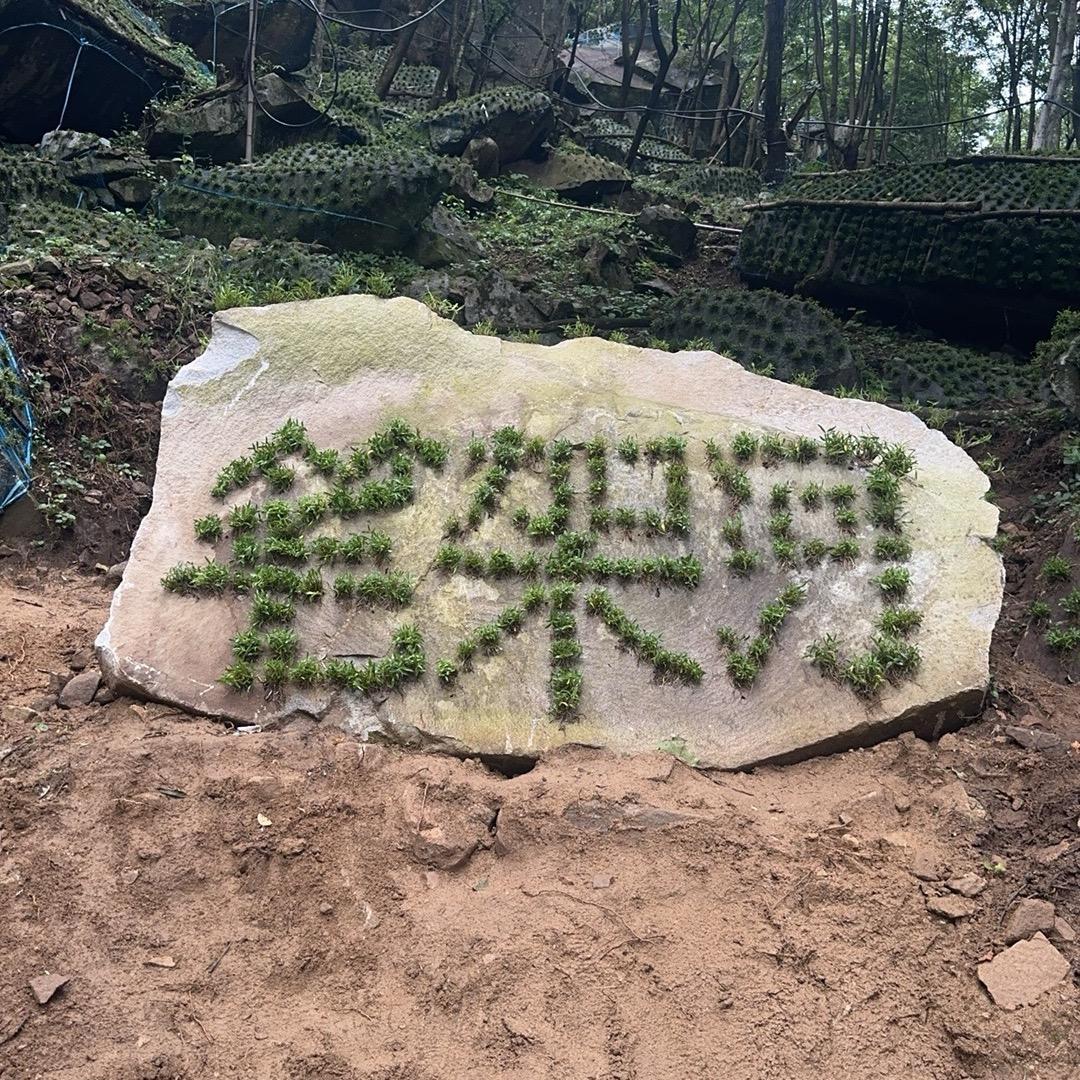 延生药业 闫霄