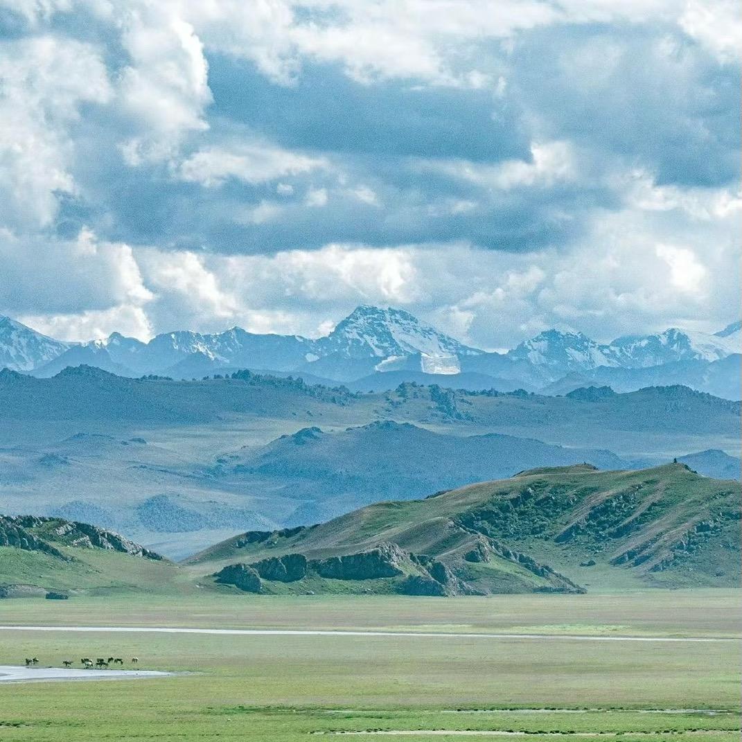 设计师～贺茂锐