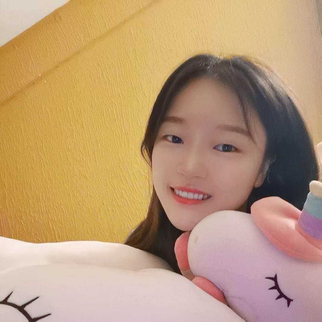 推荐官♥️汪汪