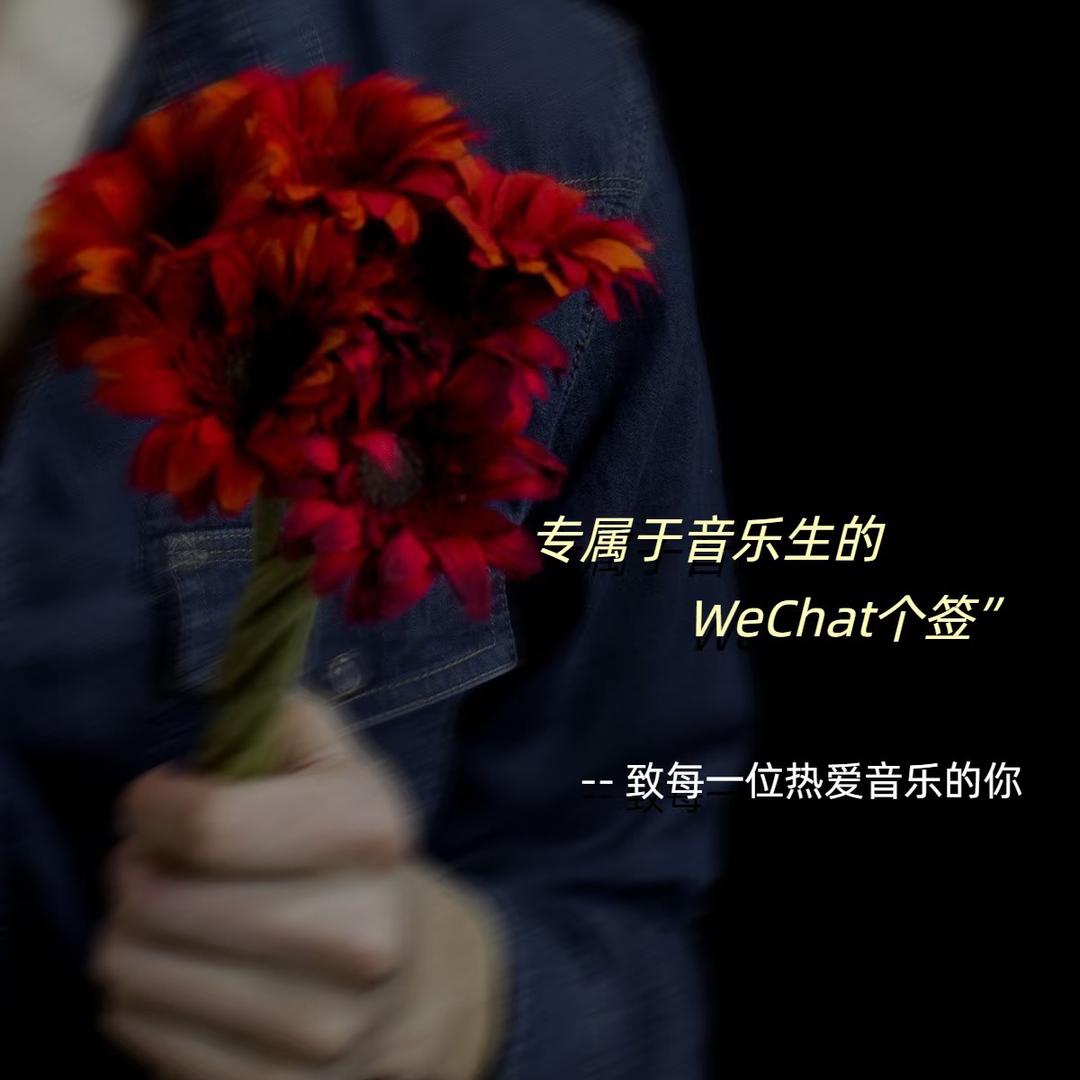 音乐🎼天使