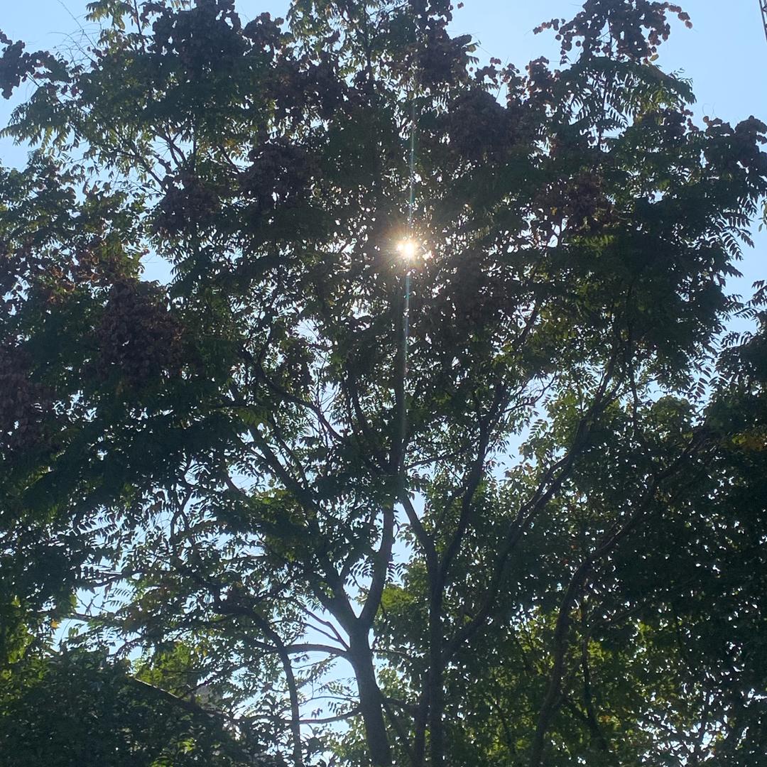 最美的风景家乡