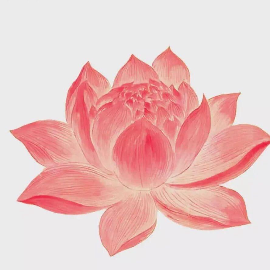 🌹🌹🌹洁洁
