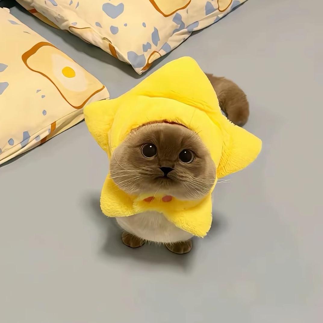 小烊