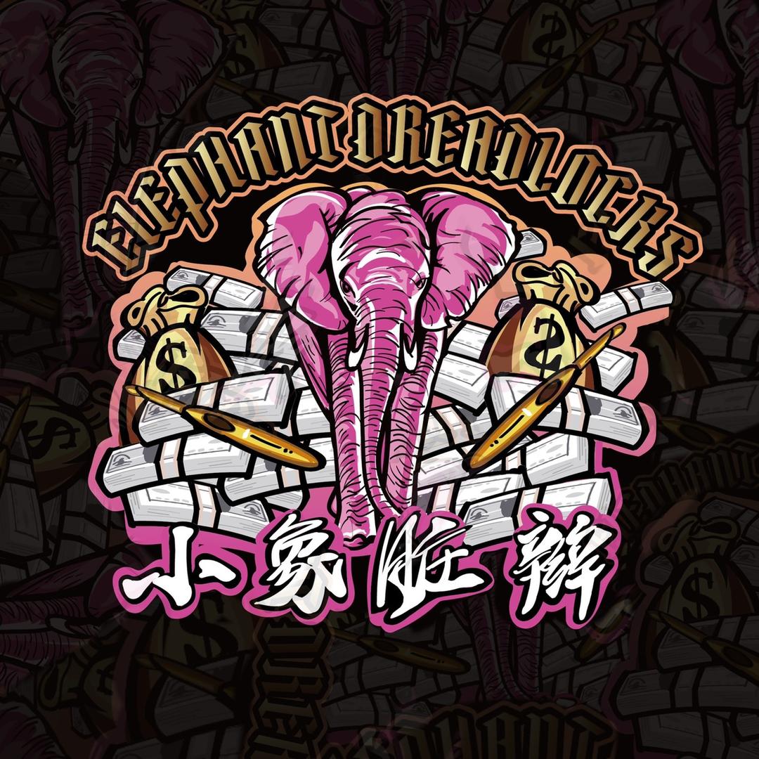 重庆小象脏辫（学员包工作 ）
