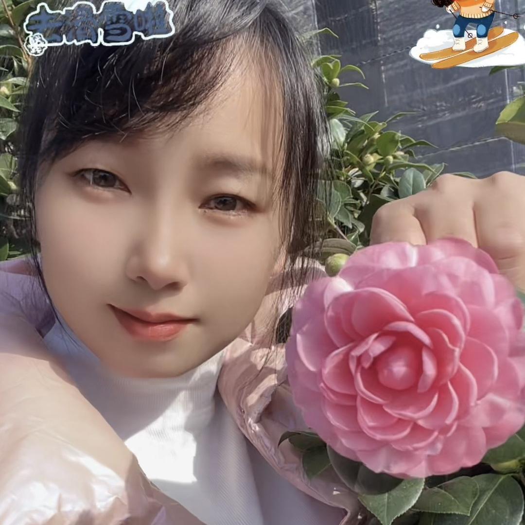 阿琴花木种植园艺