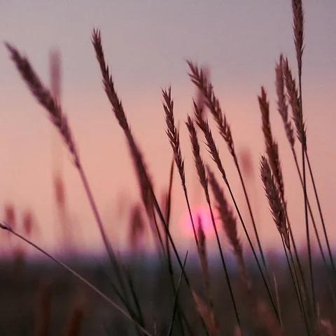 诗画江山