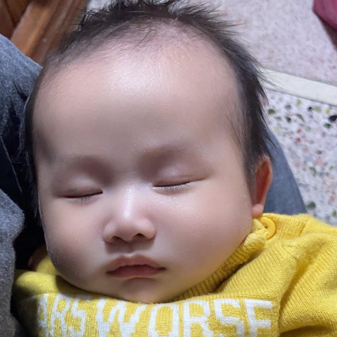 《小伟》茶叶批发