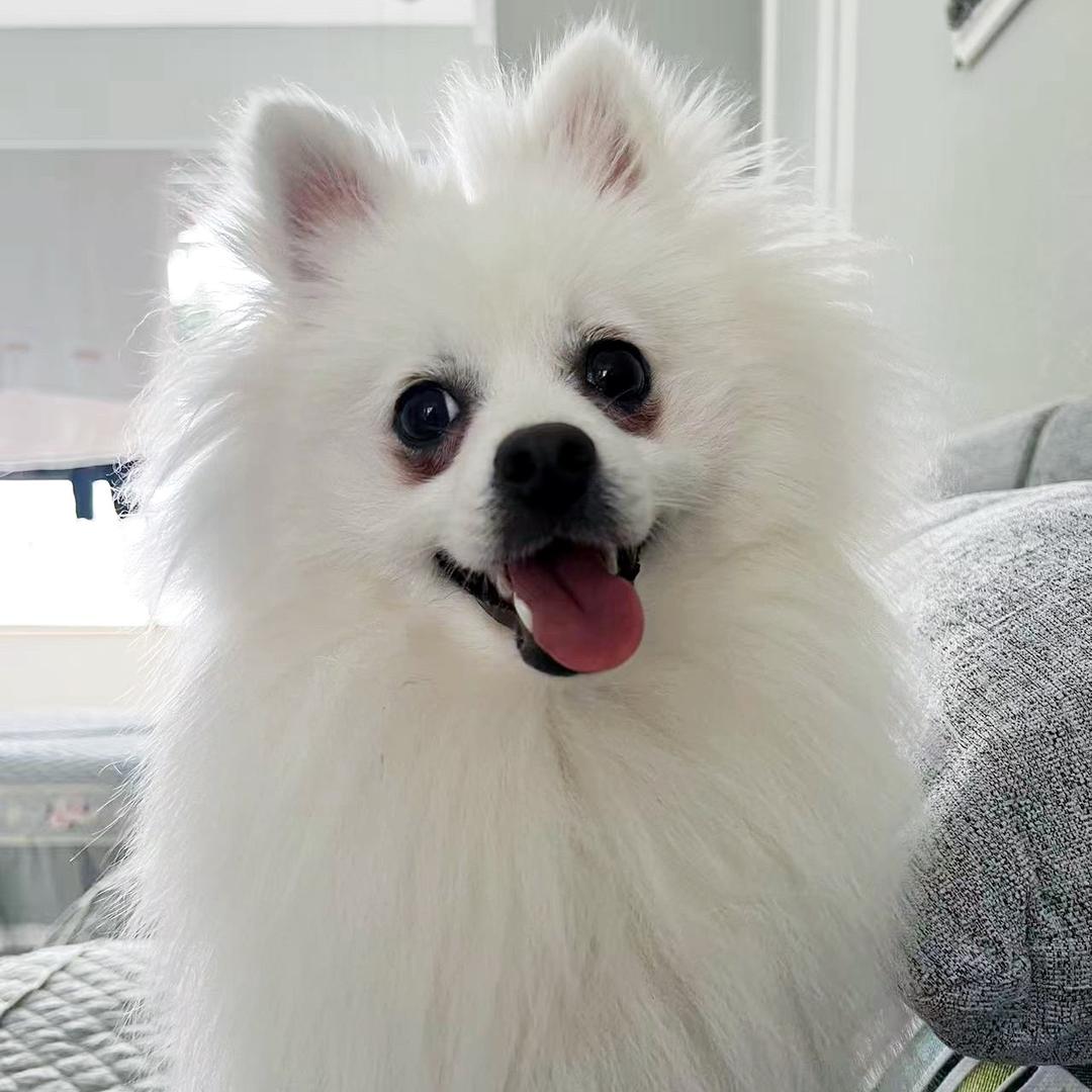 🎀婷婷婷不下来