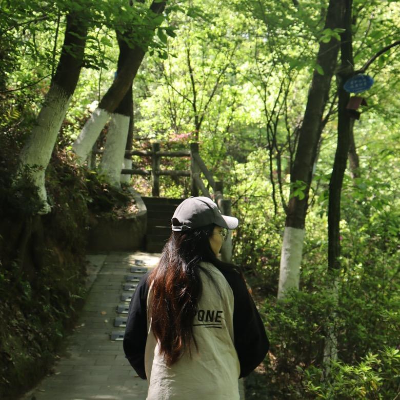 披萨只爱榴莲味