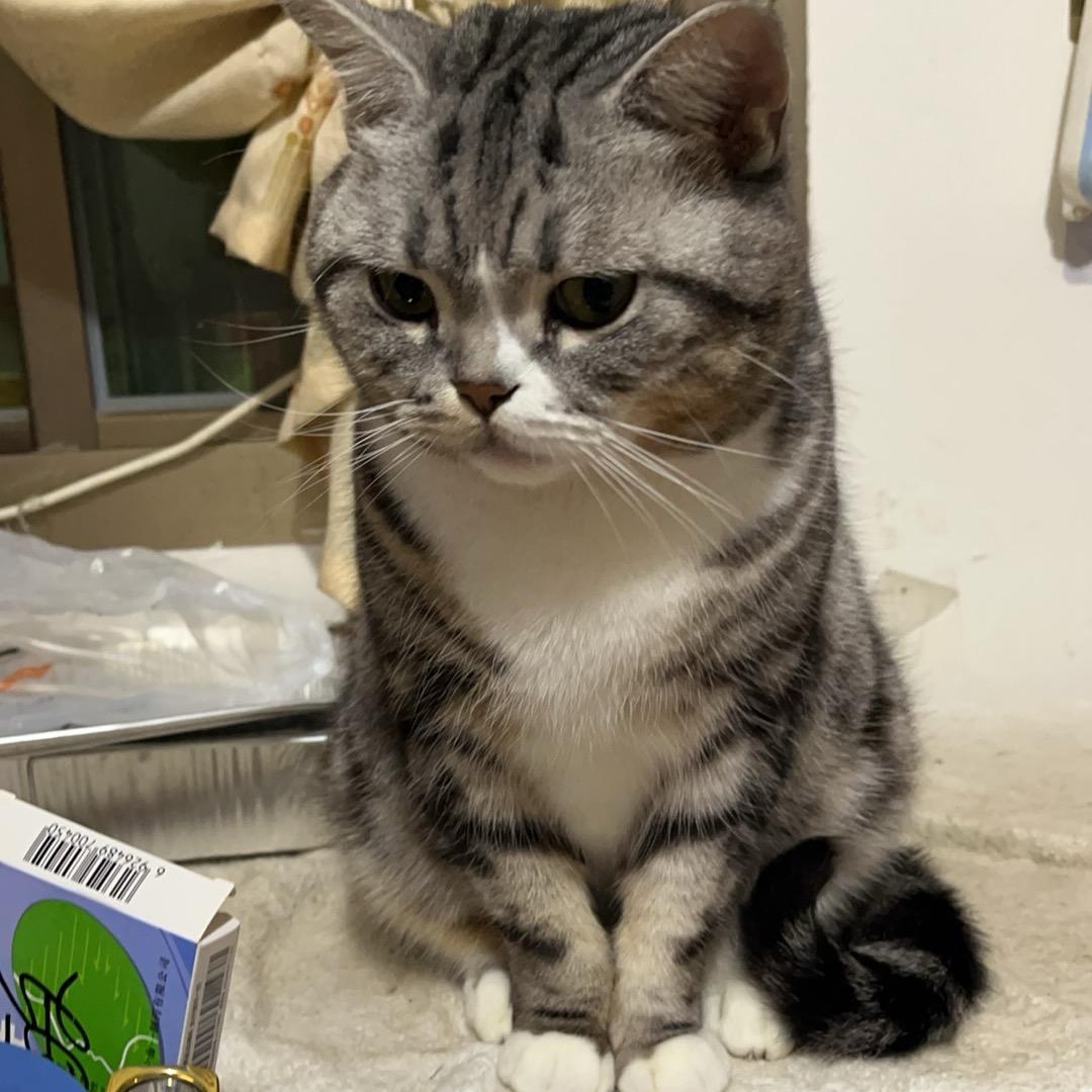 B毕珊珊