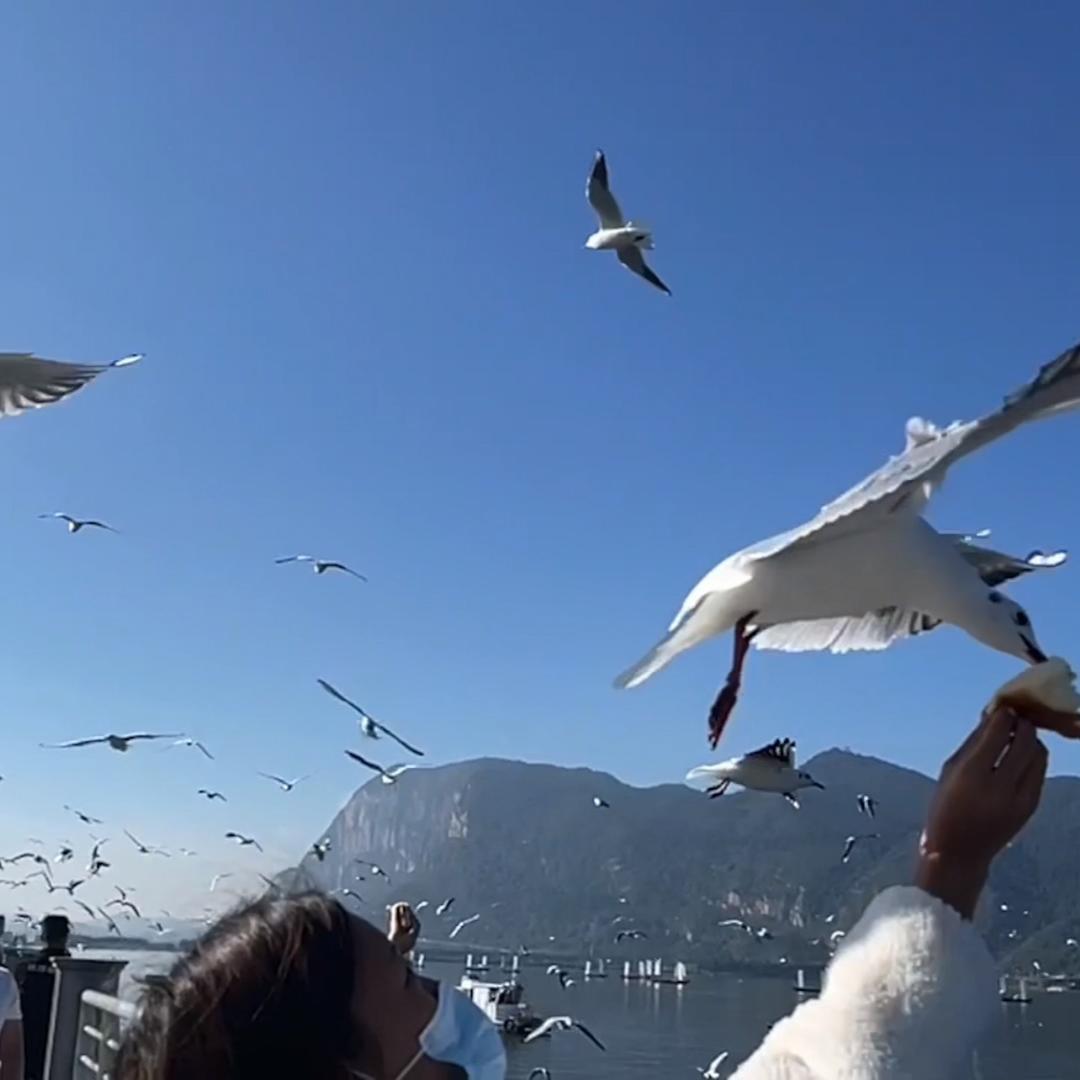 李