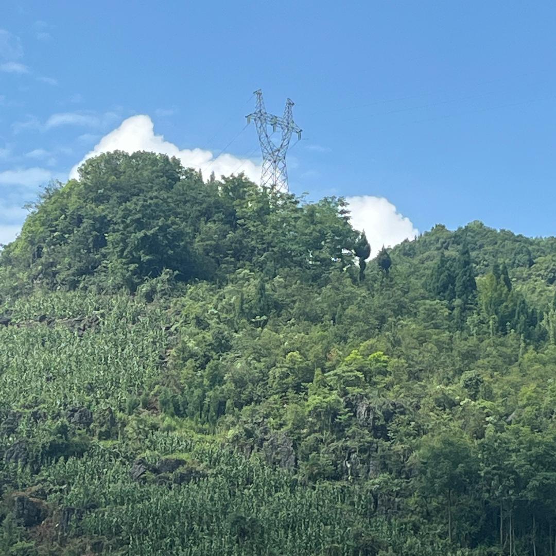 刀