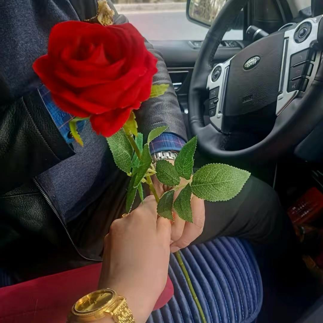 💕阿瓦妮萨💕