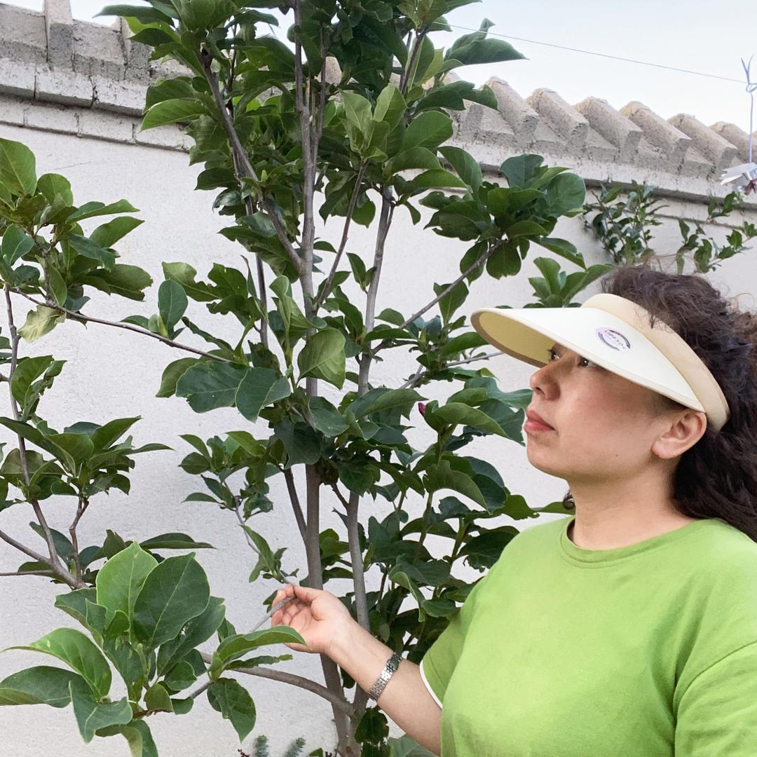 吴小丽的农村生活