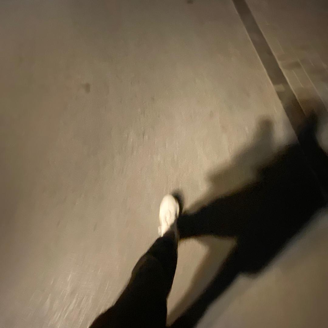 期待风归的那天