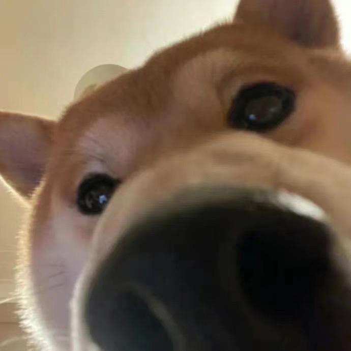 晚安.