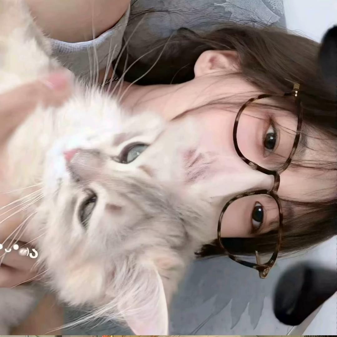 別吵我睡觉