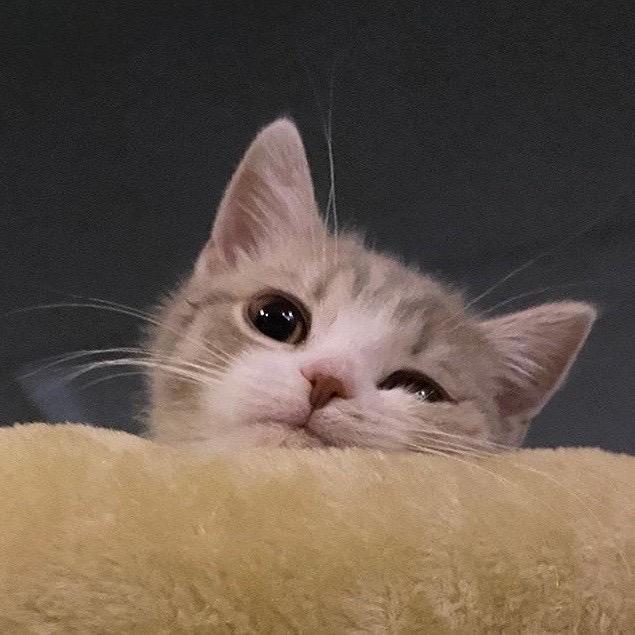 辣鳕鱼在北冰洋开挖掘机