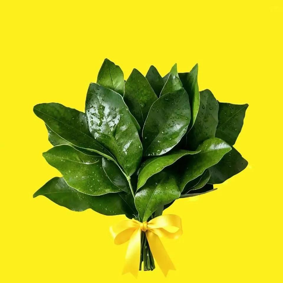 ঞᩚ᭄兜里💞半颗糖