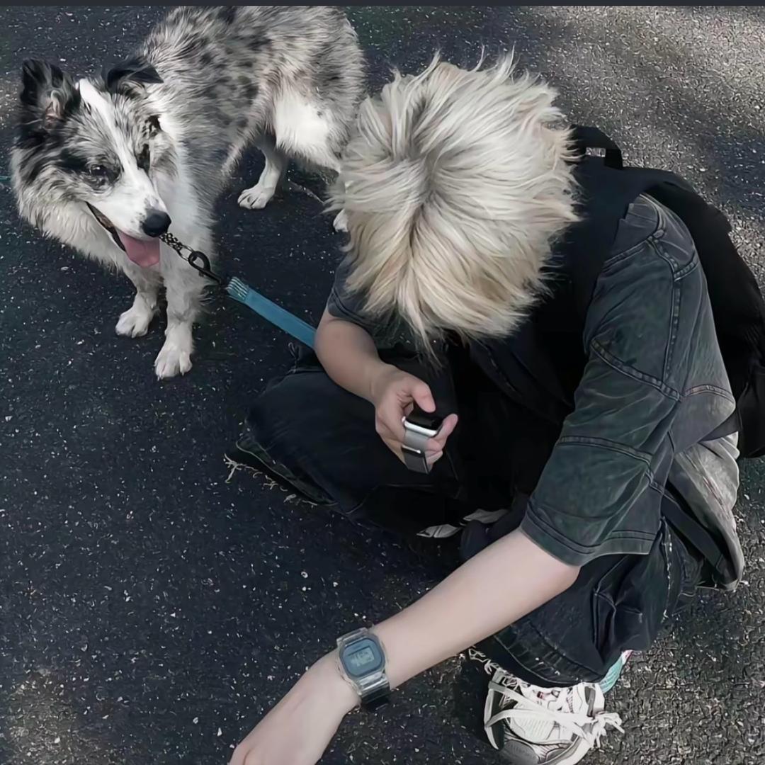 西华师大小陈学长