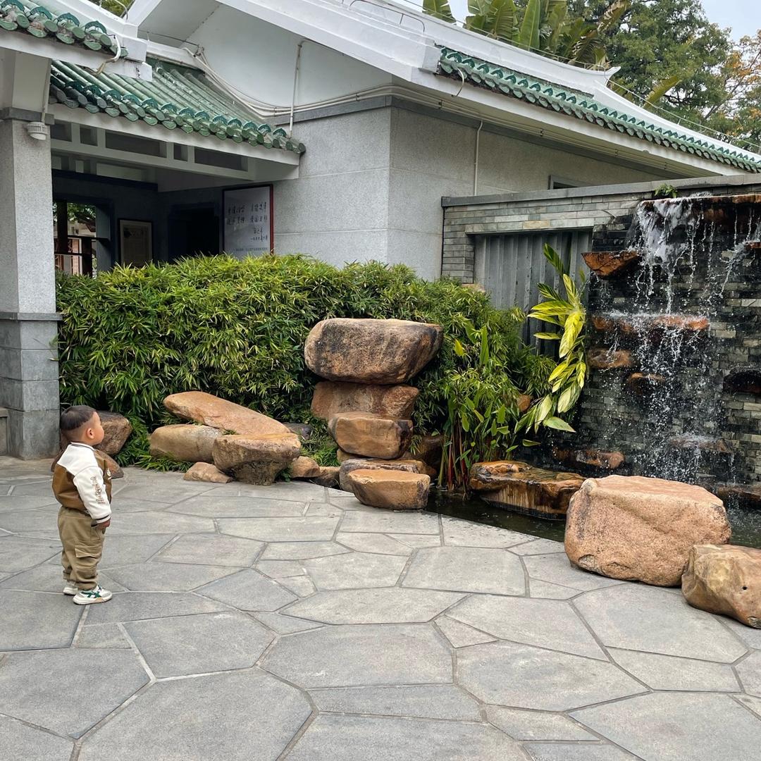 是仔仔呀