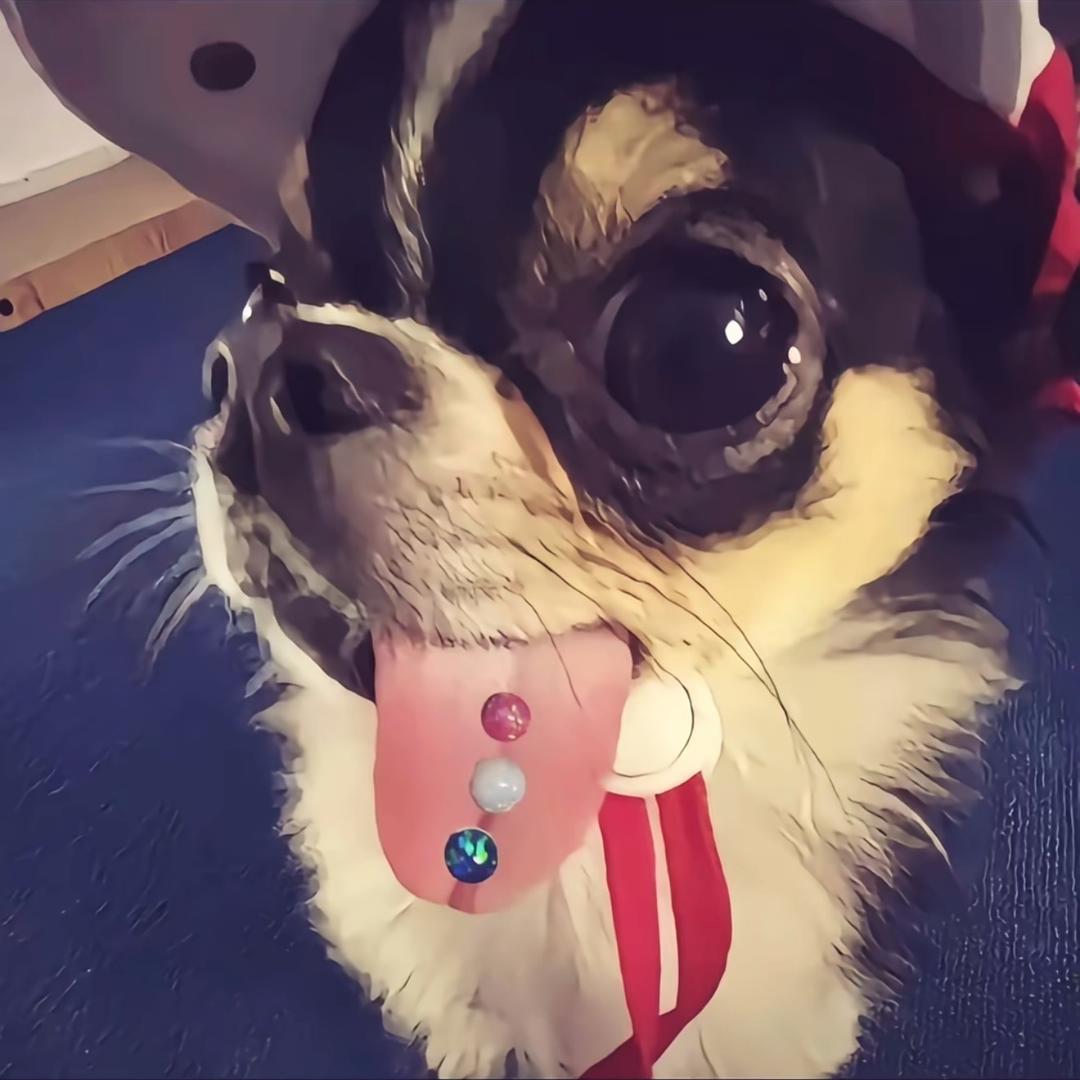 CiCi