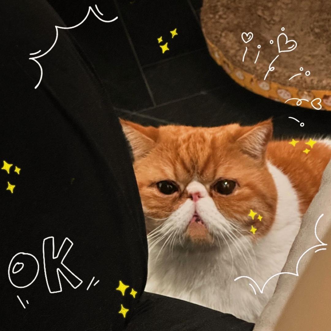 值小妹