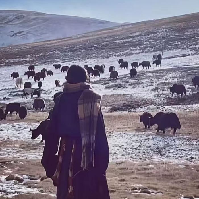 པ་སྒྲོལ་🧚🏻