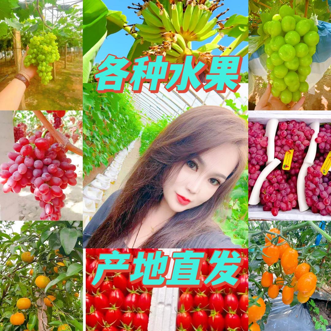 助力三农静静