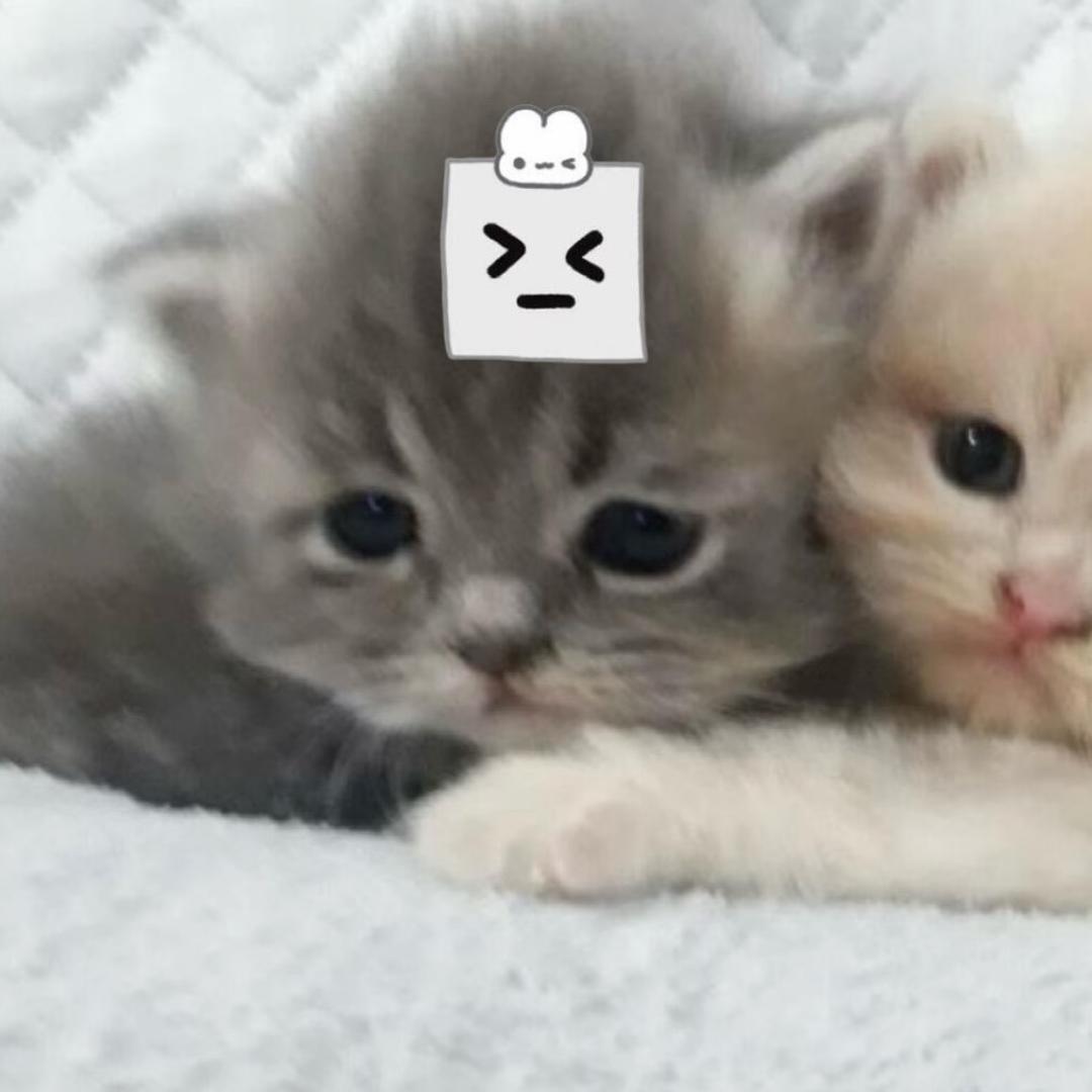 F2y