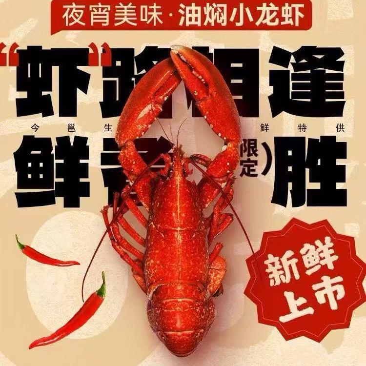 虾路相逢🦐