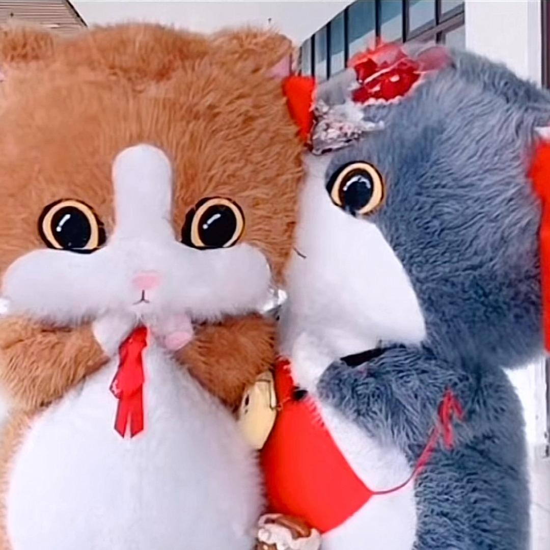 🐱萌小喵🐱