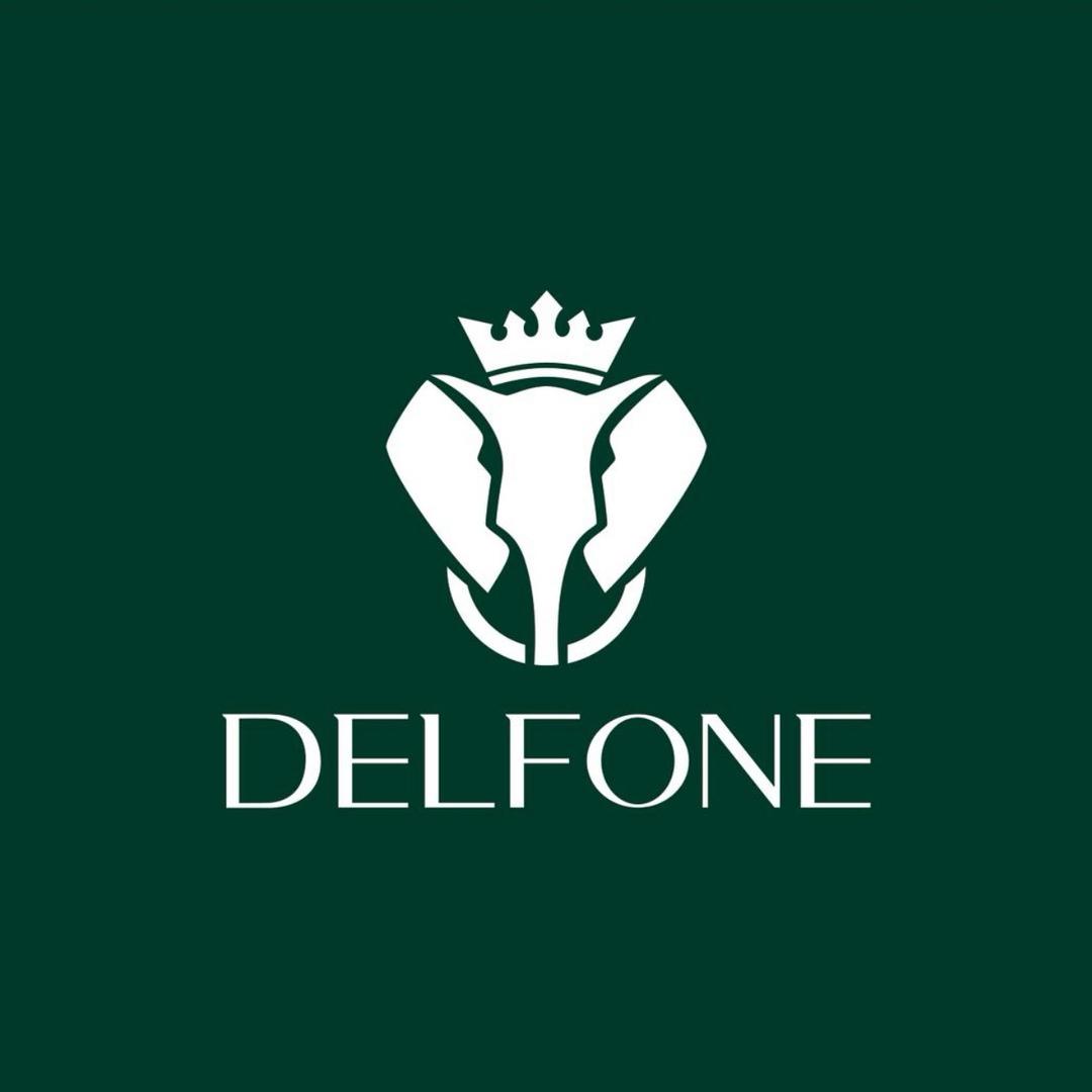 德利丰岩板 （大布石业）