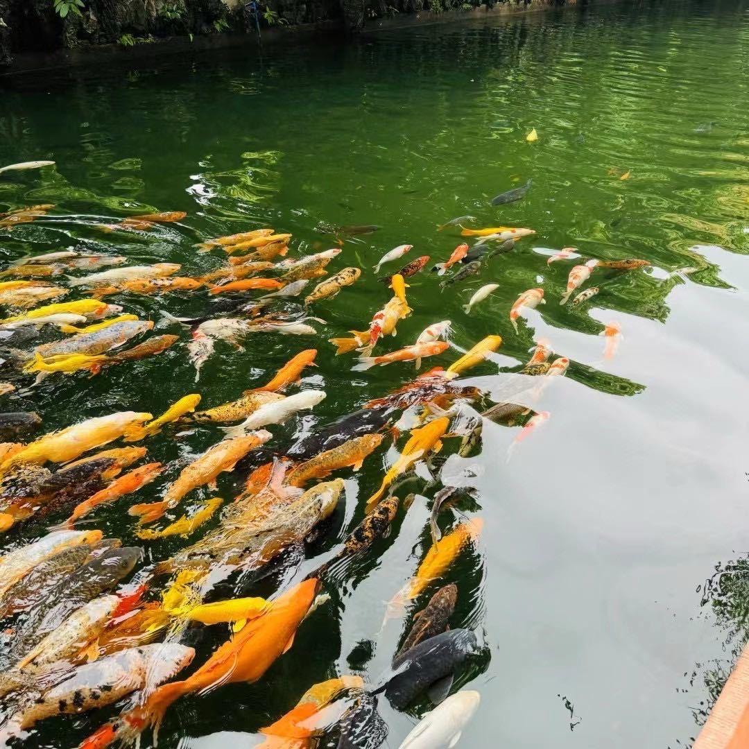 青岛启骏工贸有限公司